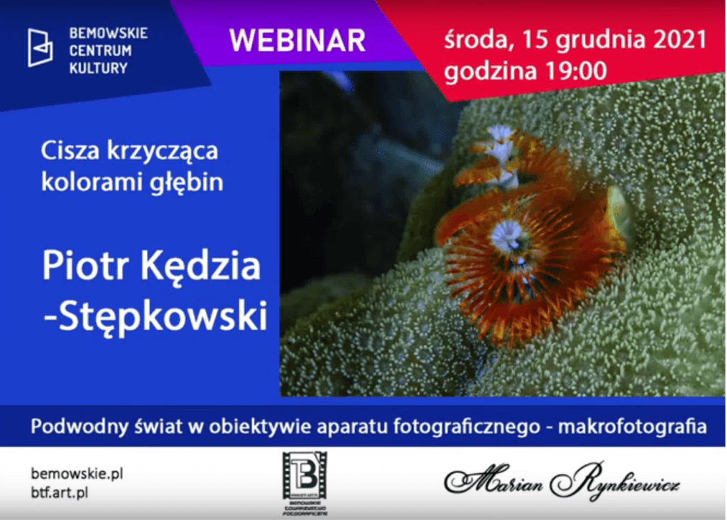 Spotkanie Podwodny świat z Piotrem Kędzią‑Stępkowskim – fotorelacja z wydarzenia