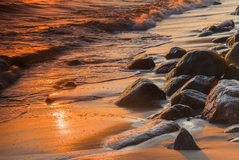 Wystawa poplenerowa w łódzkiej Przędzy.