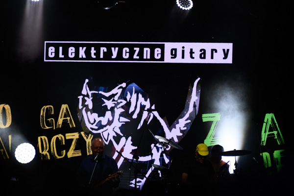 Występ muzyczny na żywo – profesjonalna fotografia eventowa z koncertu w Otwocku