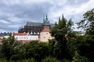 Katedra św. Wita w Pradze widziana zza drzew, z zabudową zamkową na pierwszym planie
